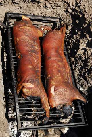 pig cooking ground bbq hours after cook grill roast piggy el pork wild recipes food medieval style pit
